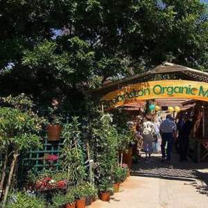 Sortie des Nouveaux à L'Organic Market et Prison Break Market