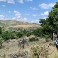 Randonnée sportive B'Sorah Trails