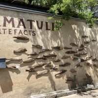 Sortie des Nouveaux à Kramerville