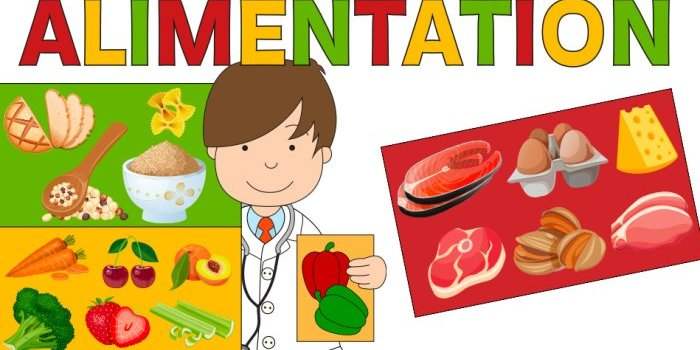Café-rencontre : Quelles protéines pour nos enfants ? 