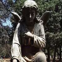Insolite - Cemetery tour - 