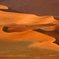 Atelier des voyages : Namibie, la grandiose