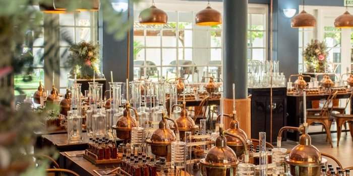 Venez fabriquer votre propre GIN !