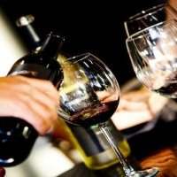 Dégustation de vins sud africains : Spécial SYRAH 