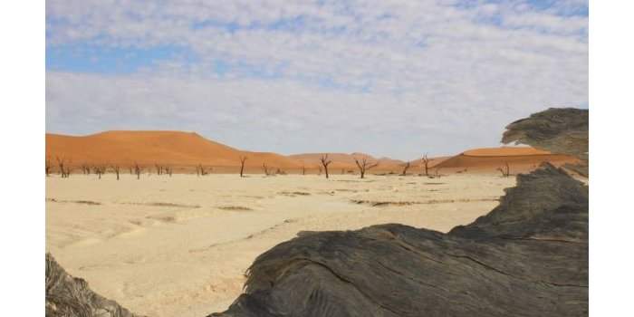 2EME DATE Ateliers Voyage : Namibie, Kalahari, Orange River, Bande de Caprivi