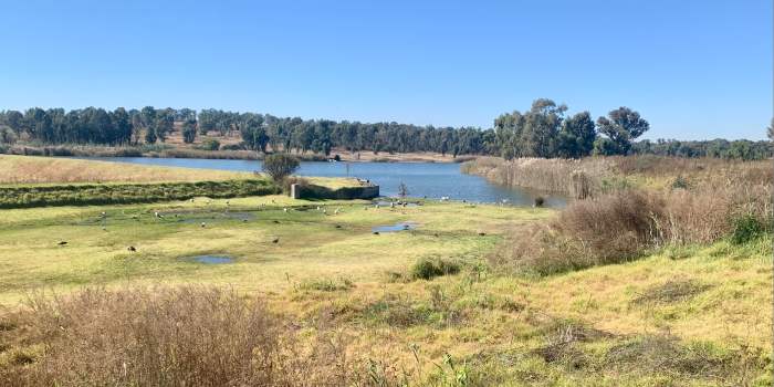 Randonnée à Modderfontein Reserve