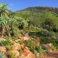 Randonnée Walter Sisulu Botanical Garden 