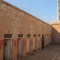 Constitution Hill - Visite incontournable 