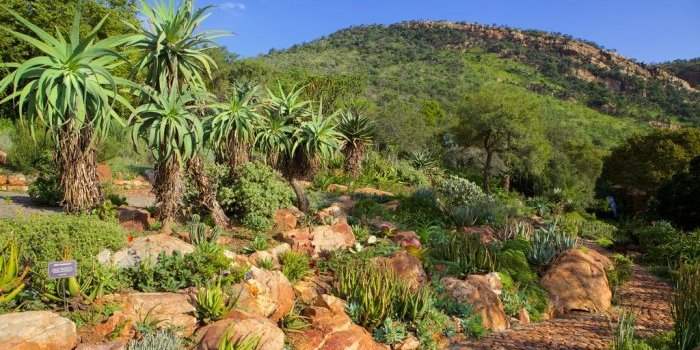 Randonnée Walter Sisulu Botanical Garden 