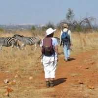 GROENKLOOF NATURE RESERVE 