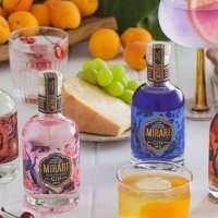 ANNULÉ ! Venez fabriquer votre propre GIN !