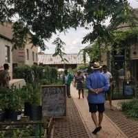 Sortie des Nouveaux à Victoria Yards