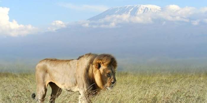 RdV ANNULE Atelier Voyages Afrique de l'Est : Kenya, Tanzanie...
