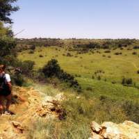 Randonnée Sportive à Groenkloof Nature Reserve
