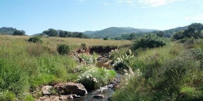 KLIPRIVIERSBERG 
