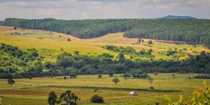 E-Ateliers Voyage : Drakensberg, Kwazulu Natal