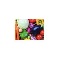Sortie de Quartier - Carrera et Bryanston Market