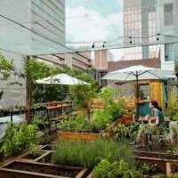 Nouveau : Urban Farming Tour