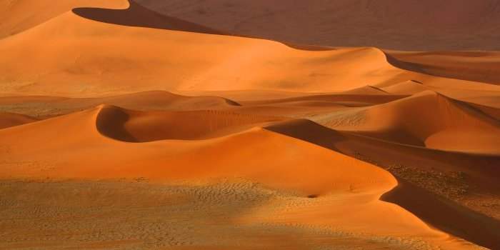 Atelier des voyages : Namibie, la grandiose