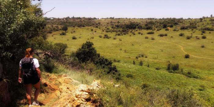 Randonnée Sportive à Groenkloof Nature Reserve
