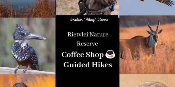 Randonnée au Rietvlei Nature Reserve !