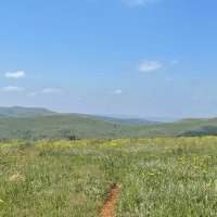 Randonnée Suikerbosrand Nature Reserve