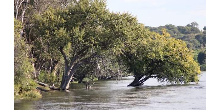 Ateliers Voyage Botswana, Zimbabwe
