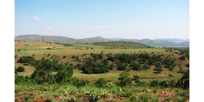 LEEUWENKLOOF