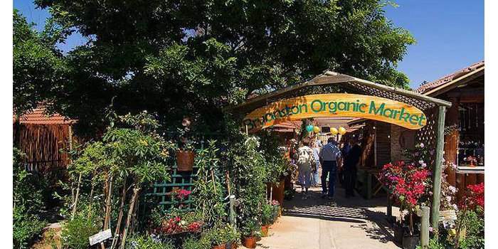 Sortie des Nouveaux à L'Organic Market et Prison Break Market