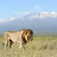 RdV ANNULE Atelier Voyages Afrique de l'Est : Kenya, Tanzanie...