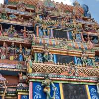 Nouveau : Immersion dans le township Indien de Laudium