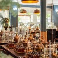Venez fabriquer votre propre GIN !