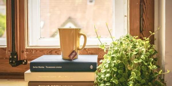 Idées Lecture pour les vacances - Part II