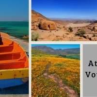 Atelier Voyage hiver austral : des parcs arides à la West Coast