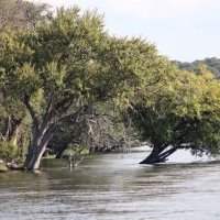 Ateliers Voyage Botswana, Zimbabwe
