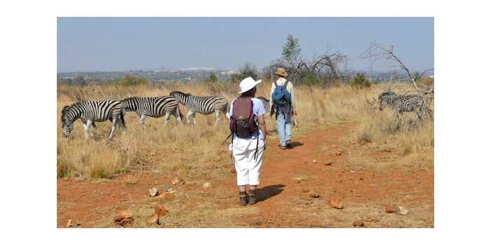 GROENKLOOF NATURE RESERVE 