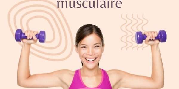 Renforcement Musculaire