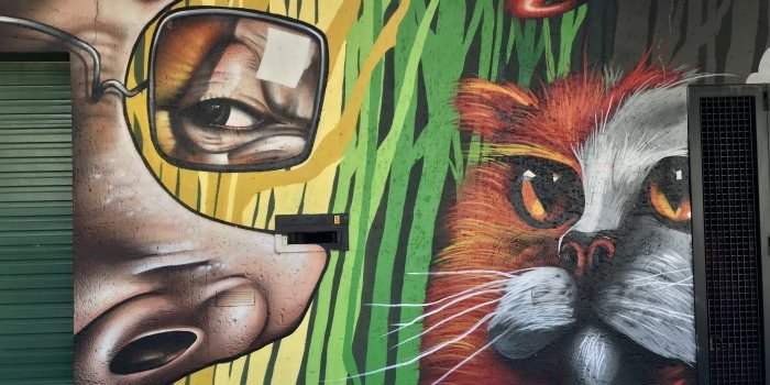 Un Graffiti Tour différent à à Westdene